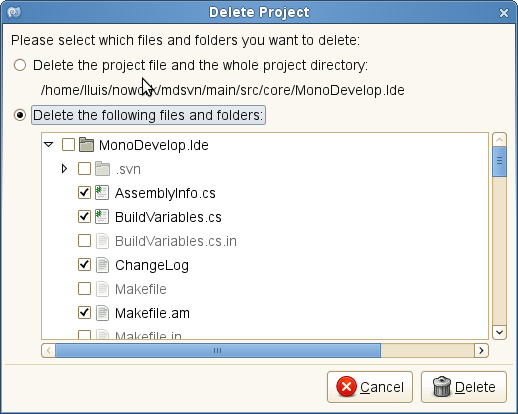 Delete Project Dialog